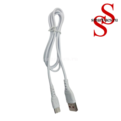  DENMEN DZ06T 3.1A 2USB PORT + CABLE USB Type-C