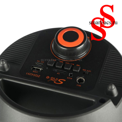 КОЛОНКА ZQS4291