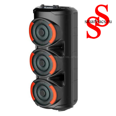 КОЛОНКА ZQS3601