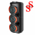 КОЛОНКА ZQS3601
