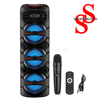 КОЛОНКА ZQS8202